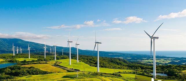 What is the Difference Between Double Offset and Triple Offset Butterfly Valves?