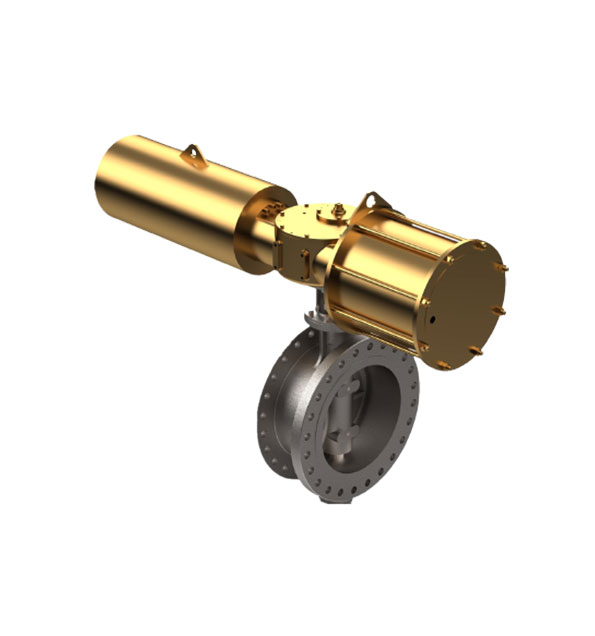 single eccentric butterfly valve