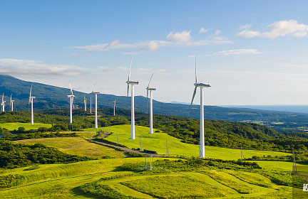 What is the Difference Between Single Eccentric and Double Eccentric Butterfly Valves?